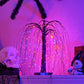 🎃✨ Vendita Anticipata 49% DI SCONTO 🔥 Albero Luminoso di Halloween