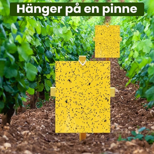 Superklibbiga dubbel­sidiga insektsfällor (20-pack)