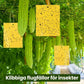 Superklibbiga dubbel­sidiga insektsfällor (20-pack)