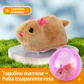 🥳NOVITÀ CALDA 2026🥳💞PIÙ DI 50.000 UNITÀ VENDUTE! 💖🐱Palla Interattiva Autorotante per Gatti