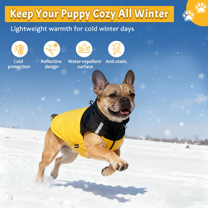 🐶 Cappotto per Cani Impermeabile e Antivento | Calda Protezione per Passeggiate Invernali | Per Cani di Piccola e Media Taglia