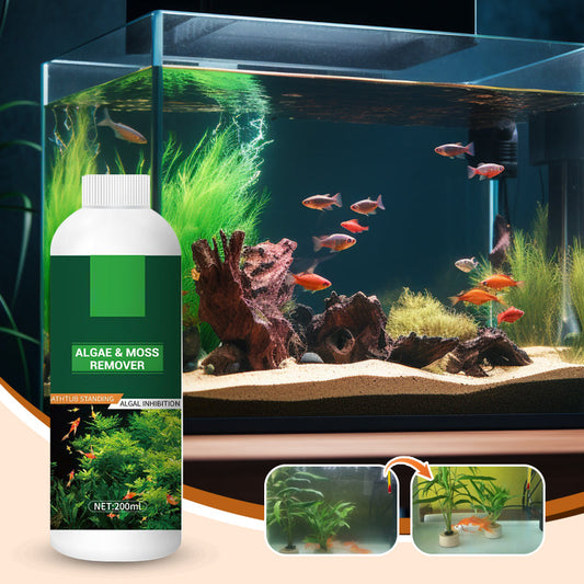 🎉Più acquisti, più risparmi💥 Rimozione di Alghe & Muschio per Acquario – Trattamento Sicuro dell'Acqua