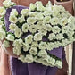 💖🎁50 % rabatt på mors dag-presenter 2026 -- 🌸🎁Handstickad filt med blommotiv