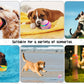 🎁Palla Intelligente Automatica per Cani Indistruttibile🐶