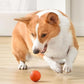 🎁Palla Intelligente Automatica per Cani Indistruttibile🐶