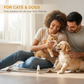 🐕🔥Colliri Delicati per Animali Domestici