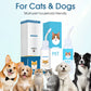 🐶🐱 Detergente per le orecchie di cani e gatti – allevia il prurito e mantiene le orecchie pulite e sane! 👂✨🛁