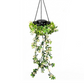 ☀️ 50% DI SCONTO – Luci Solari Edera con Foglie Artificiali – Impermeabili, 8 Modalità di Illuminazione & Flessibili – Perfette per Giardini, Balconi & Decorazioni da Parete 🌿💡✨
