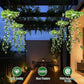 ☀️ 50% DI SCONTO – Luci Solari Edera con Foglie Artificiali – Impermeabili, 8 Modalità di Illuminazione & Flessibili – Perfette per Giardini, Balconi & Decorazioni da Parete 🌿💡✨