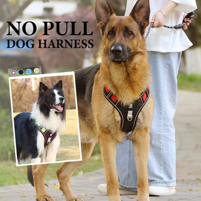 🐶 ORA AL 50% DI SCONTO! 🛡️ Pettorina per Cani No-Pull Anti-Tiro con Guinzaglio e Collare LED – Sicura, Ergonomica e Confortevole ✨