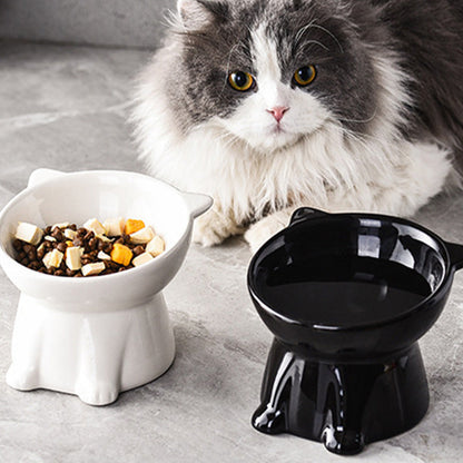 Ergonomisk, upphöjd kattskål i plast