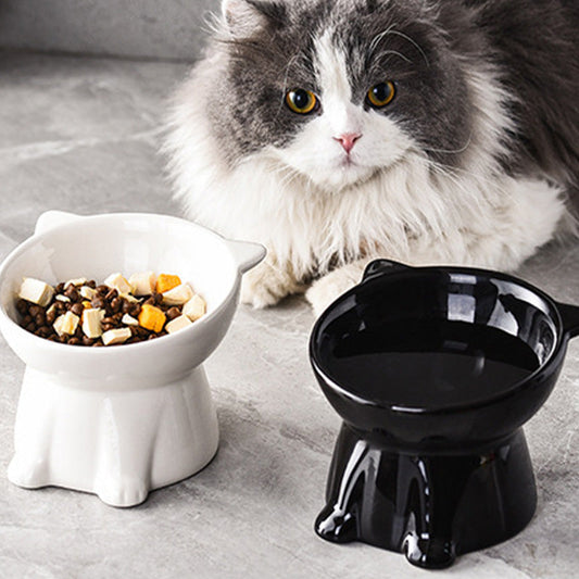 Ergonomisk, upphöjd kattskål i plast