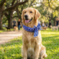 📢📢COMPRA 1 PRENDI 1 GRATIS!! ⏰Bandana Rinfrescante Estiva per Animali