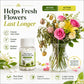 Compresse Purificanti per Piante Idroponiche e Fiori Recisi