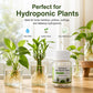 Compresse Purificanti per Piante Idroponiche e Fiori Recisi