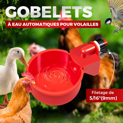 🐔🛒 -50%! 💧 Abbeveratoi Automatici per Pollame – Filettatura 5/16 Pollici, Set da 3 a 20 Pezzi & Installazione Facile.