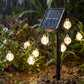 💧 Ghirlanda Solare a Bolle Impermeabile per Terrazzo – IP65, Accensione/Spegnimento Automatico al Tramonto, Risparmio Energetico e Duratura 💚🌞
