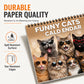 🐱 50% DI SCONTO! 🗓️ Calendario da parete 2027 con gatti divertenti – 12 mesi di umorismo felino ✨