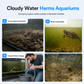 🐢💧 Raccoglitore di Escrementi per Tartarughe e Pulitore di Residui per Acquario – Mantiene l’Acqua Pulita e l’Ambiente Sano ✨