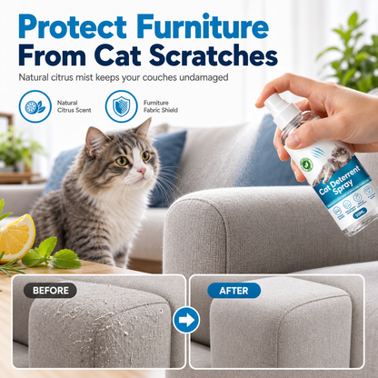 🐱 Spray Disabituante Antigraffio per Gatti 🛋️ | Formula Naturale agli Agrumi Proteggi Divani e Mobili 🍊 | Ferma i Graffi su Tessuti, Tende e Legno 100ml ✨
